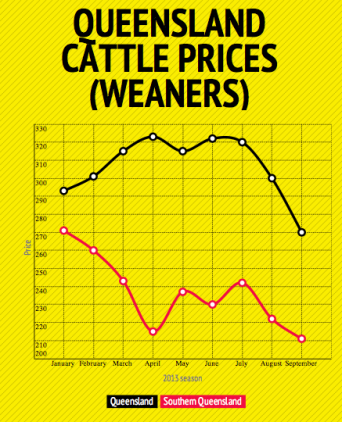 Cattle price graphic